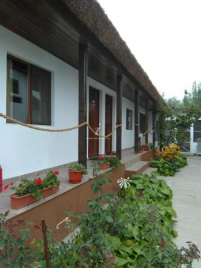 Briza Marii